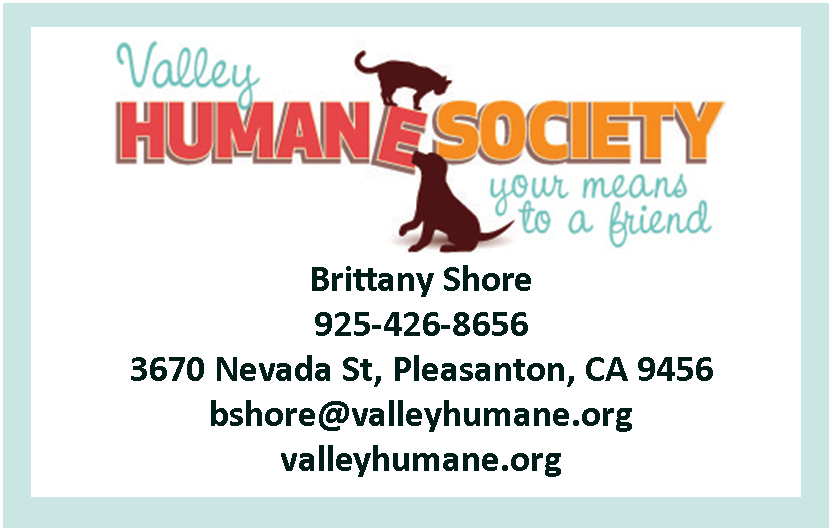 Valley Humane Society Contact info for the Make A Difference Festival